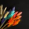 Vibrant bouquet of the violet, pink, orange, blue and white bunches of dry bunnytail grass Lagurus on black backdrop