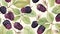 Vibrant Boysenberry Pattern With Realistic Watercolour Style