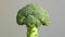 Vibrant broccoli florets, their freshness evident, echo the importance of vegetables in a balanced diet. Health in every