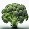 Vibrant Broccoli Head on a White Background