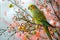 Vibrant Budgerigar Perched Gracefully Amongst Blossoming Branches with Autumn Berries