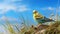 Vibrant Budgerigar Perched On Grass: Detailed Wildlife Photography