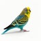 Vibrant Budgerigar On White Background - Uhd Image By Simon Prades