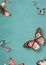 Vibrant Butterflies in Flight on a Teal Background - A Symbol of Transformation and Natural Beauty. Generative Ai