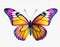 Vibrant Butterfly Illustration On White Background
