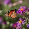 A vibrant butterfly resting delicately on a bed of colorful wildflowers, posing for its portrait1