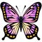 Vibrant Butterfly Sticker