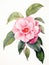 Vibrant Camellia Petals in Soft Watercolor AI Generated