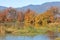 Vibrant Canadian Autumn Marshland