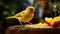 Vibrant Canary Bird Perched Near Orange: A Stunning Vray Tracing Masterpiece