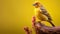 Vibrant Canary Bird Perched On Wooden Log - Hd Photography