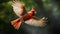 Vibrant Cardinal Flying In A Forest: High-energy Imagery With Depth Of Field