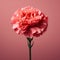 Vibrant Carnation Portrait: Pink Flower In Monochromatic Hues