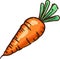 Vibrant Carrot: Hand-Drawn Cartoon Illustration