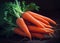 Vibrant Carrots Bunch on Dark Table