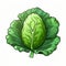 Vibrant Cartoon Illustration Of Cabbage Leaf For Environmental Awareness