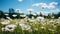 Vibrant chamomile blossoms brighten the clear summer sky generated by AI