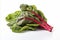 Vibrant chard vegetable on white backdrop for attention grabbing ads and packaging designs