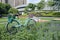 vibrant and cheerful flower bed with a charming bicycle parked