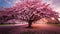 A vibrant cherry blossom tree in full bloom with pink petals