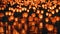 vibrant chinese new year: thousands of festive lanterns illuminate the nigh