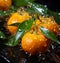 Vibrant Citrus Fruits Glistening With Refreshing Water Droplets