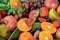 Vibrant Close-Up of Assorted Fresh Mixed Fruits in Exquisite 4K Resolution