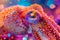 Vibrant Close Up of Colorful Octopus Texture Against a Bokeh Background in High Resolution