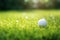 Vibrant Close-up of Golf Ball on Tee with Beautiful Blurry Green Bokeh Background