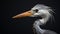 Vibrant Close-up Of Gray Heron In Ebru Sidar Style