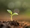 A vibrant, close-up image of a seedling breaking through the soil, symbolizing new beginnings and growth. Generative AI