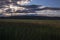 Vibrant cloudy sunset over a thick dark green wetland full of reeds tall grass and streams of water