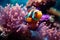 Vibrant Clownfish and Anemones in Crystal Clear Waters