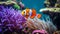 vibrant clownfish nibbles on anemone tentacles