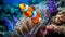 vibrant clownfish nibbles on anemone tentacles