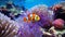 vibrant clownfish nibbles on anemone tentacles