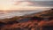 Vibrant Coastal Dunes At Sunset: Captivating Landscape Photography