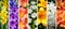 Vibrant collage of flowers with dividing white vertical lines a bright and stylish composition