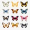 Vibrant Collection Of Realistic 3d Butterflies On Transparent Background