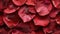 a vibrant collection of red rose petals arranged artistically, serving as inspiration to create captivating visual