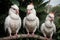 Vibrant Collection of Wild Cockatoos.AI Generated