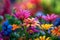 vibrant color concept. colors of rainbow. bright colorful multicolored gerbera flowers. Bunch of multi coloured gerberas. Bright