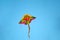 Vibrant color Kite with snake drawing