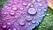 Vibrant and colorful water droplets in a stunning macro close up on a wet surface background