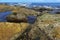 Vibrant colors of aquatic life in rock pools and the tidal zone of rocky coastline beach in Australia