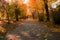 the vibrant colors on the autumn morning city public alley scene