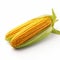 Vibrant Corn Kernel On White Background