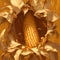 Vibrant Corn Kernels - High Resolution Image