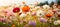 Vibrant cosmos flowers in sunlit meadow with bokeh blur and soft focus, close up macro shot