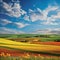 Vibrant countryside landscape with healthy crops and picturesque fields